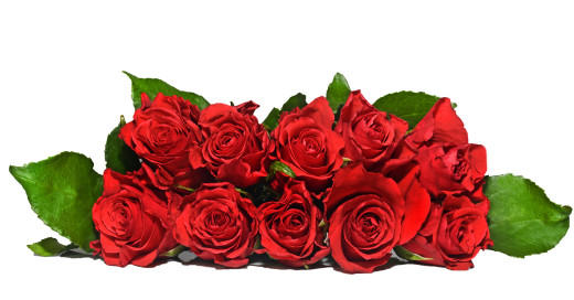 757142 (a): :3700x1930